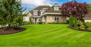 Lawn Maintenance Services