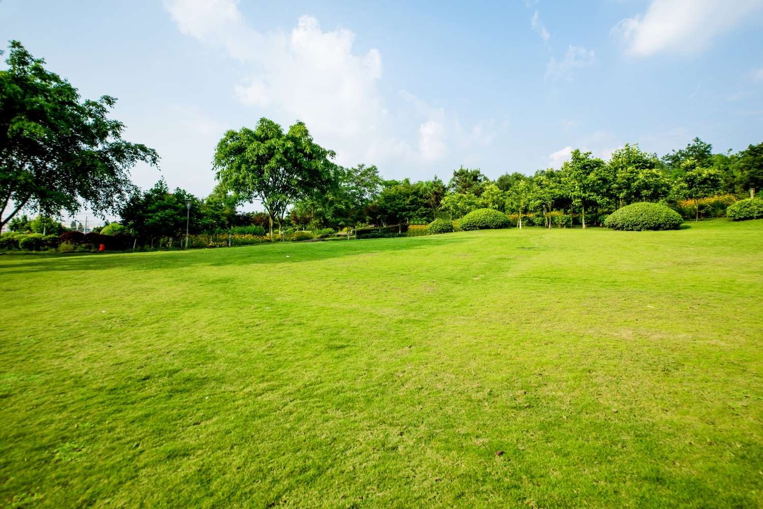lawn care Saginaw