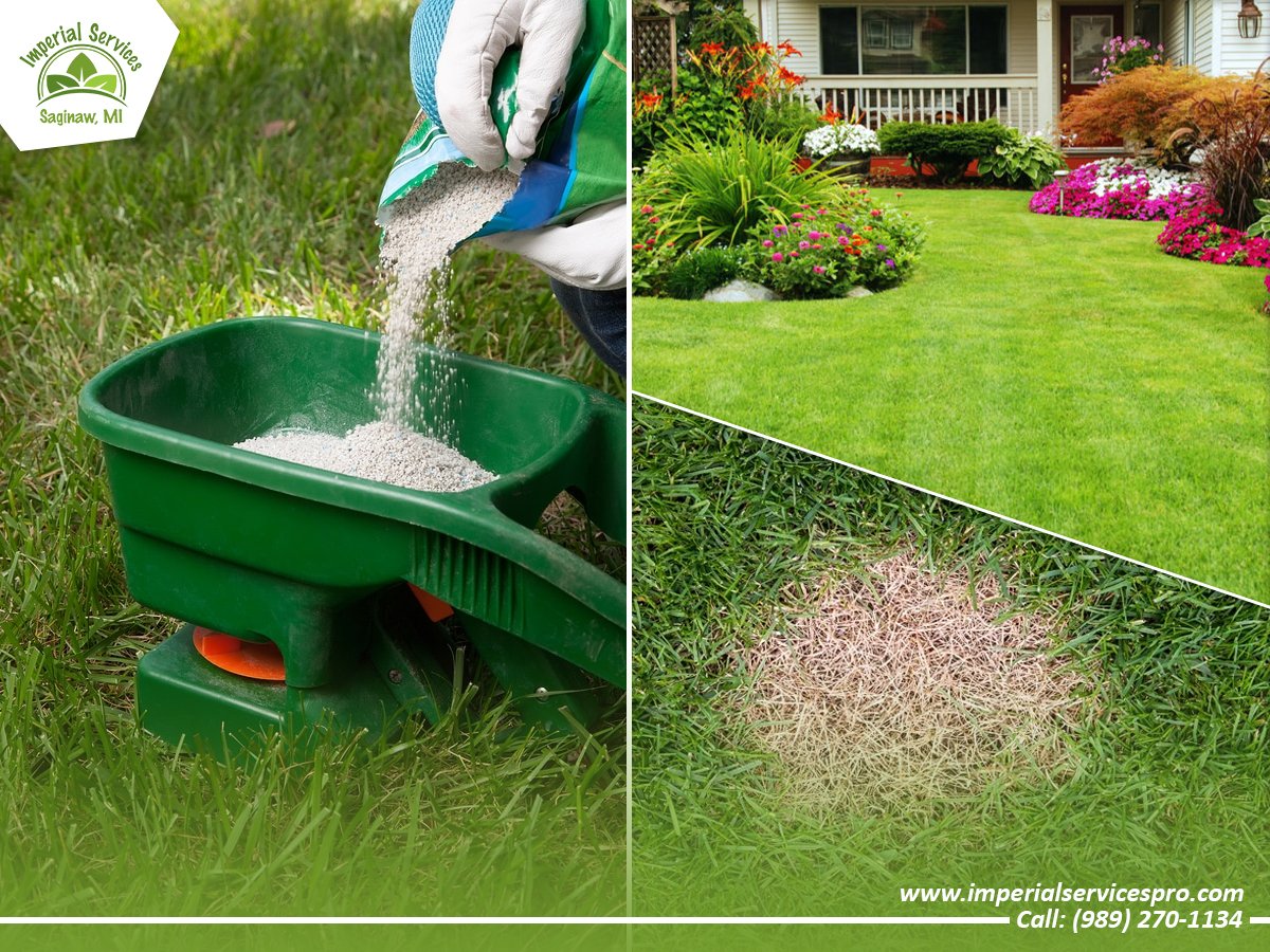 Seasonal Lawn Fertilization in Saginaw, MI